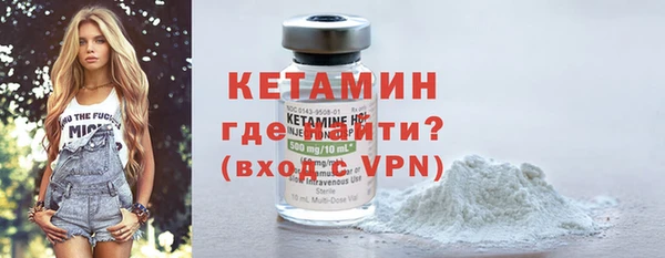 шишки Кодинск