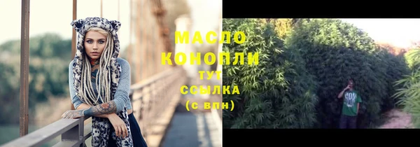 шишки Кодинск