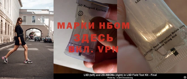шишки Кодинск