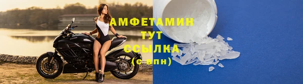 шишки Кодинск