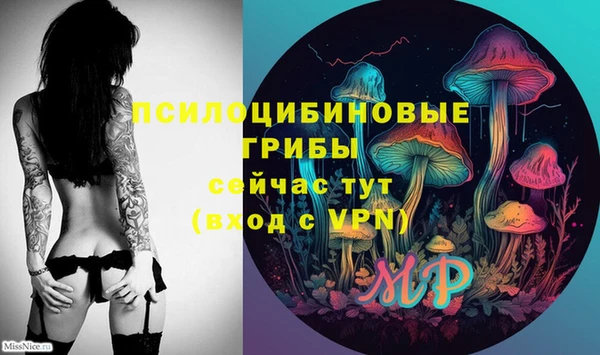 марки nbome Козловка