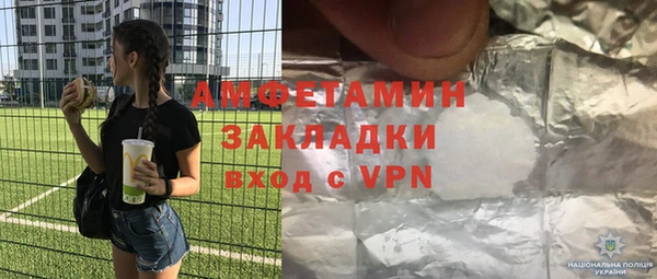 шишки Кодинск