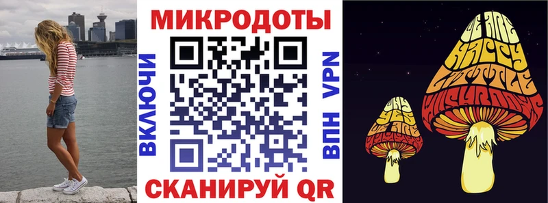 купить  цена  Щёлкино  Псилоцибиновые грибы мицелий 